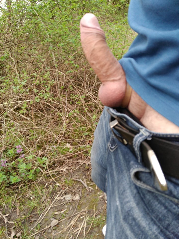 IMG_20180416_133449.jpg - xxxMarcoxxx