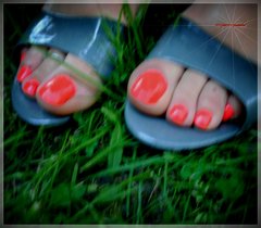 Grafitowe Klapeczki #227