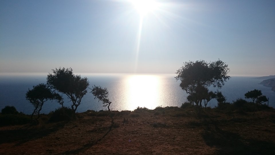 DSC_0996.jpg - bidon9