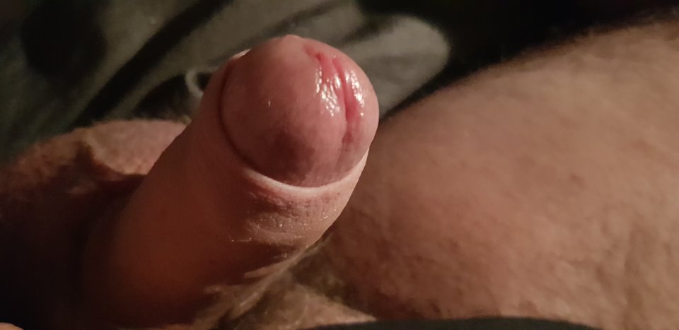 20180418_014904.jpg - krzysppietka69