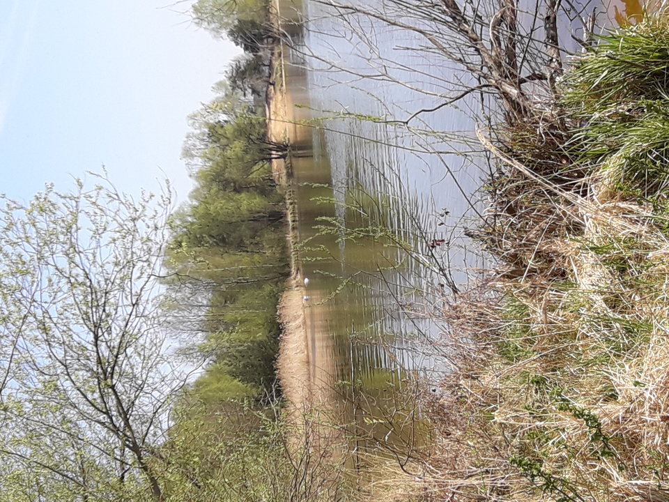 20180418_102725.jpg - chris19771977