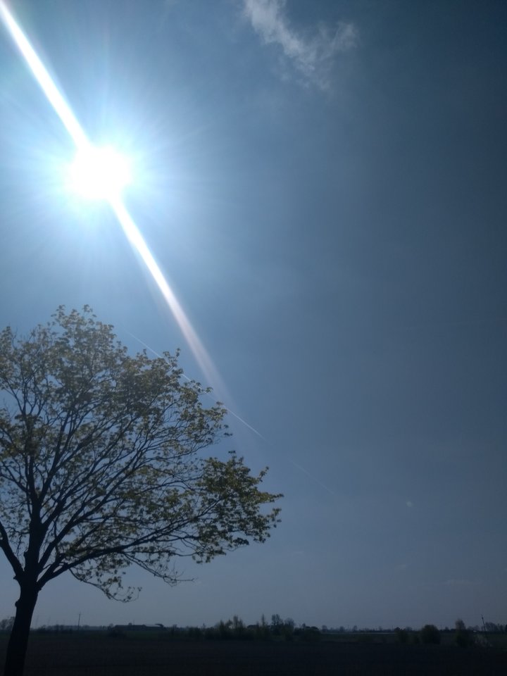 IMG_20180419_111118203.jpg - iksinskid