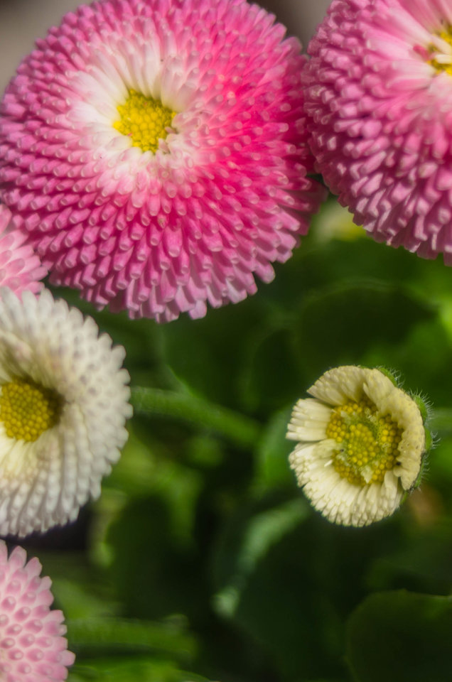 Bałagan w kadrze - mystic