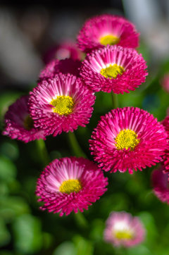 A bo one takie fajne są :)