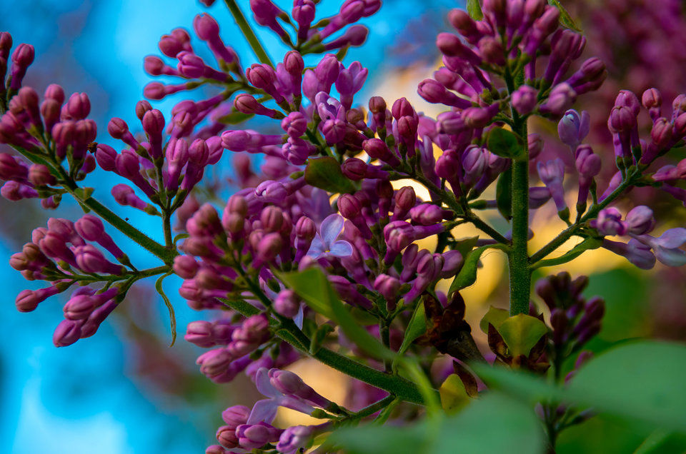 Lubię bez....................... - mystic