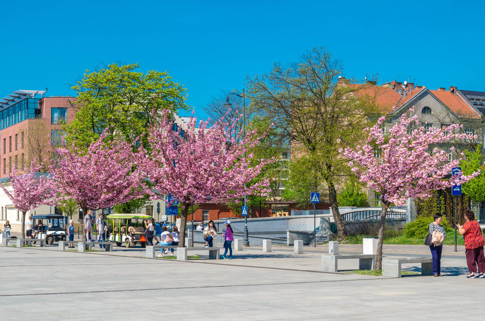 Wiosna pod Wawelem - mystic