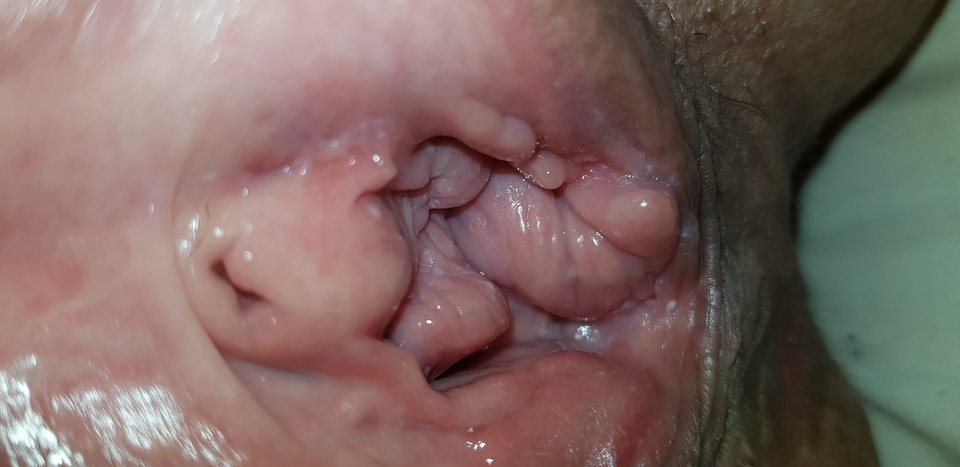 20180408_174547.jpg - oni7473