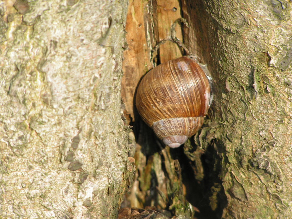 PICT2103.JPG - 1231pawel