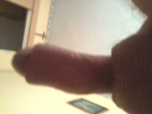 amfibia