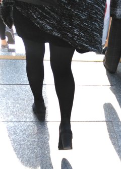 IMG364206cz.jpg