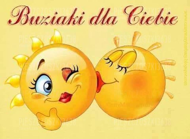 ZDJ 8.jpg - Pieszczoszki3638