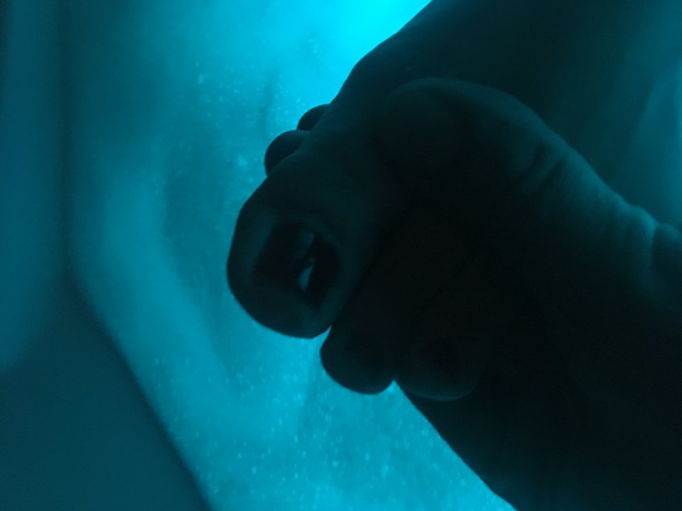 E0EABEAE-C7EF-465A-BDF2-B5F7C95452E5.jpeg - parafet