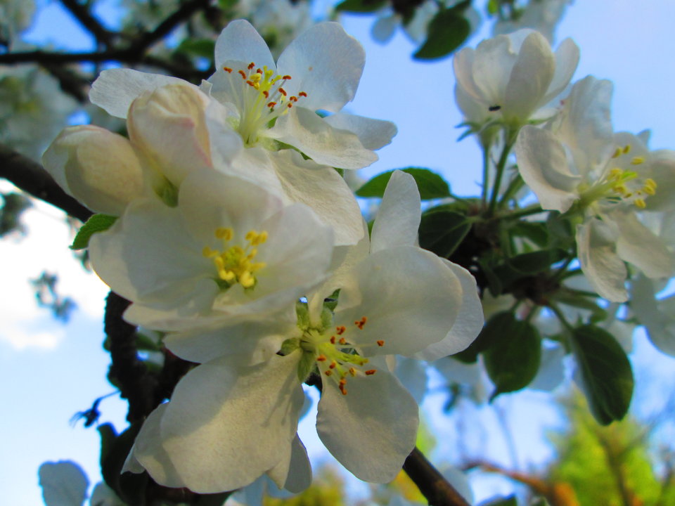 Obraz 029.jpg - DajeWam