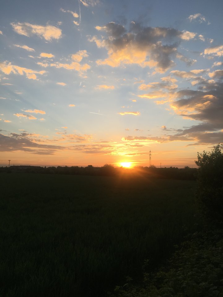 5DE0C4EF-21AD-4209-9154-DC7DBA66FAAA.jpeg - pawelsolt