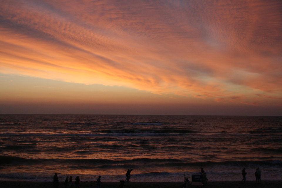 IMG_5103.JPG - Wampired