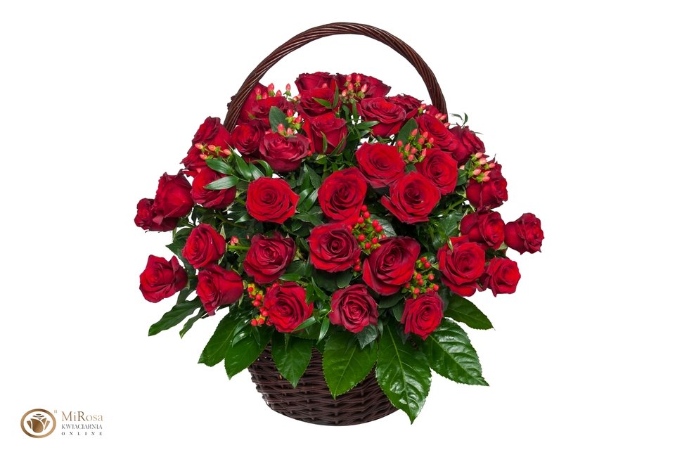 817C6A42-533C-43A3-91C3-3BE10B8DF94A.jpeg - pawelsolt