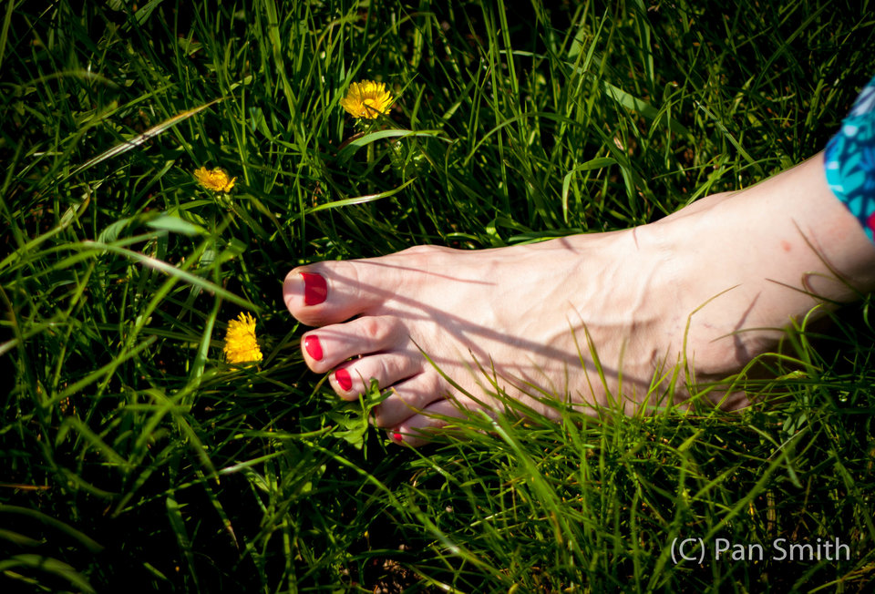 Spring2018-1.jpg - Pan_iPani_Smith