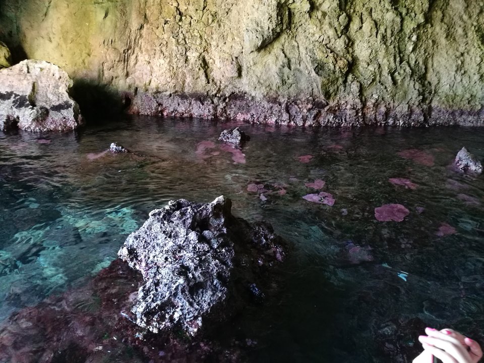 IMG_20180502_100032.jpg - Swingersii