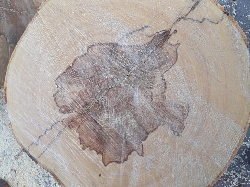 20180501_161708.jpg - wirtualna11