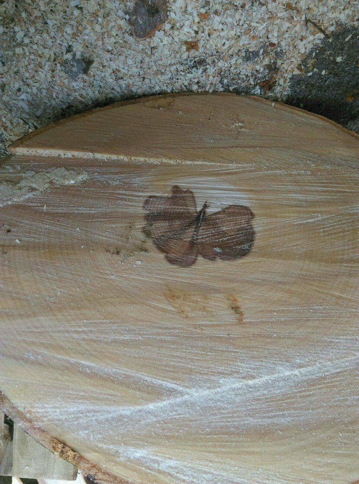 received_1961460683924601.jpeg - wirtualna11