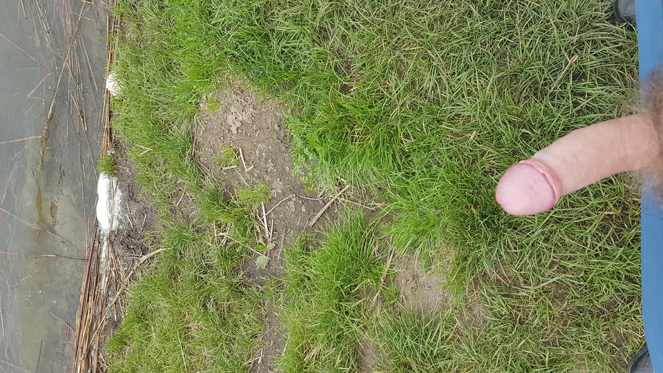 15252603313971351006921.jpg - Carolpoznan