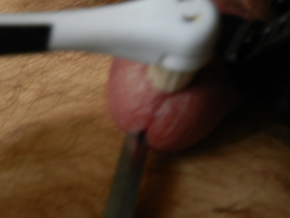 DSCN1685.JPG - janekoko4