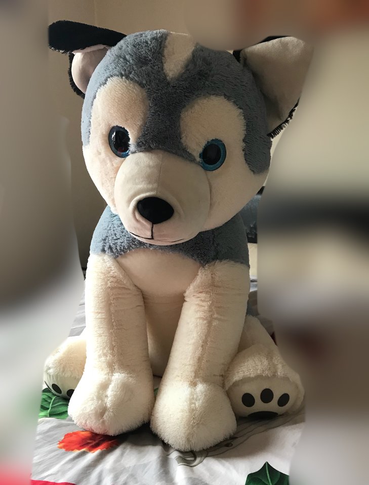 1CF84BA6-C548-4797-92F7-A0C4AE530393.jpeg - PARA_40_FEMDOM