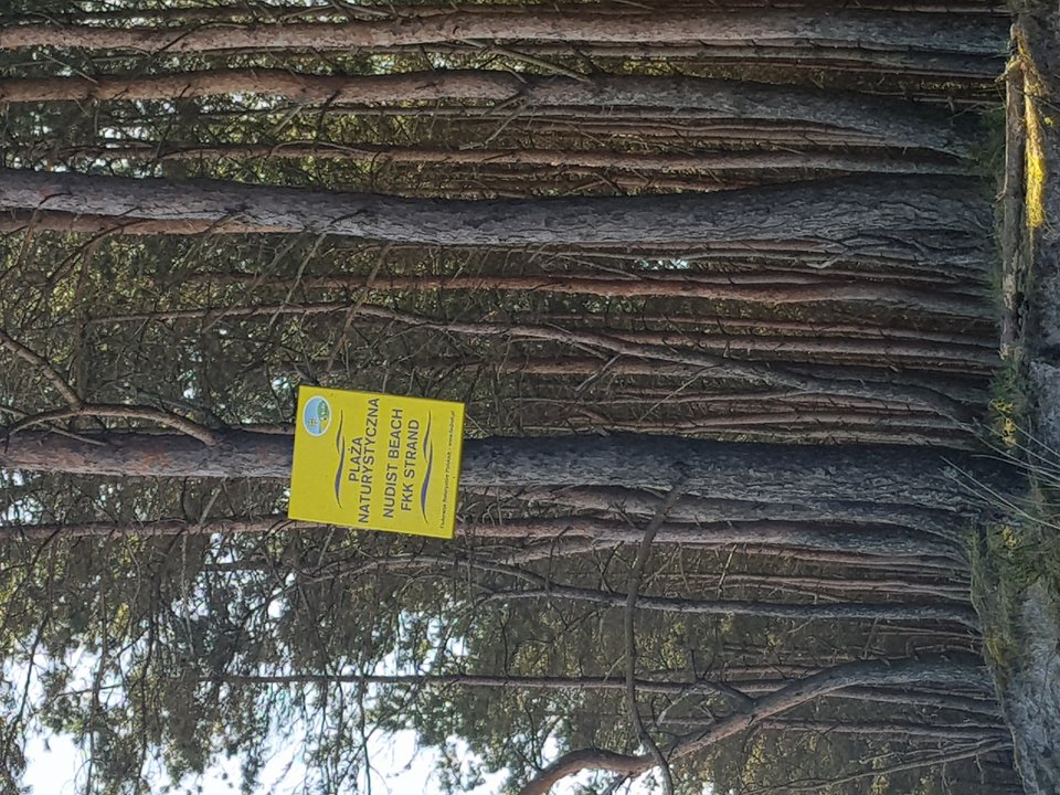20180502_094329.jpg - malysamotny