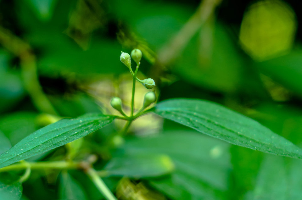 Nic ciekawego - mystic