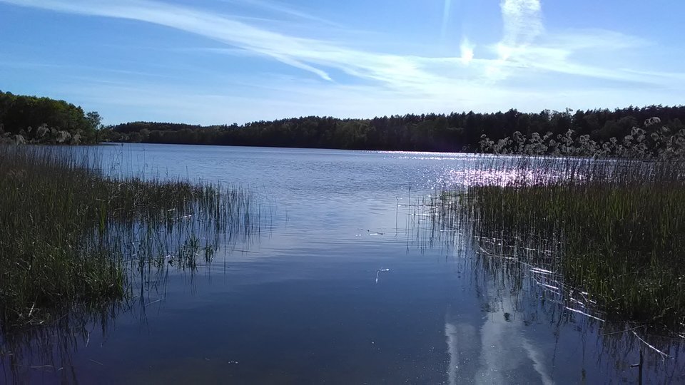 15255301991051885884765.jpg - poul1304