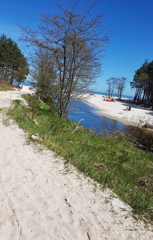 dębki 2018 - strayk