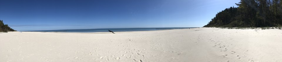 C561E848-5C35-4EF5-A899-7AB0A57B34C8.jpeg - Gdyru