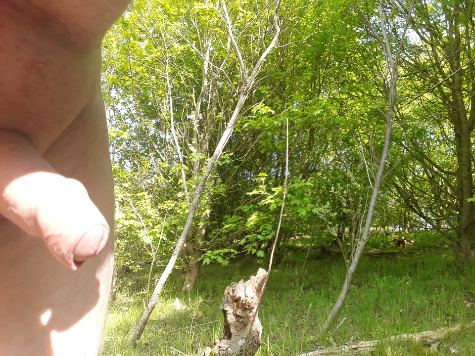 20180507_105728.jpg - snickers27