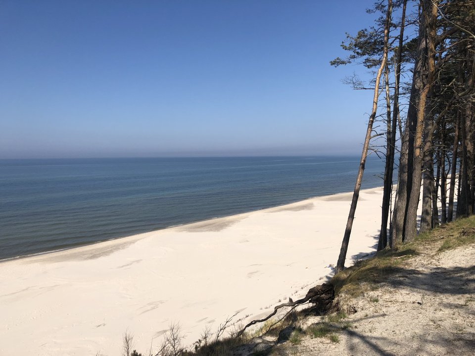 E880CB1A-C3BD-41BA-BDC8-9B80A66CA1E0.jpeg - Gdyru