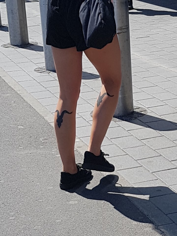 20180508_123921.jpg - kalisz78