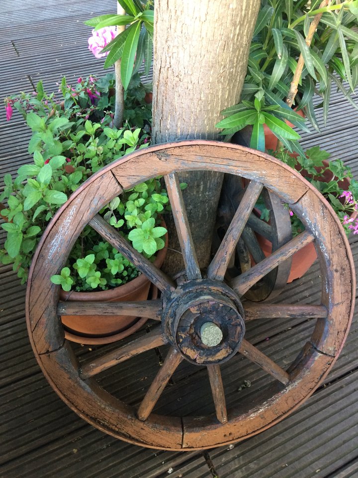 A4907CEB-F9BA-45D7-8E74-2D0293F8E6AC.jpeg - pawelsolt