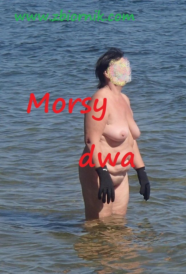 W słońcu. - Morsy_dwa