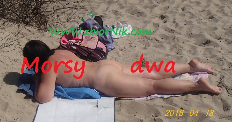 W słońcu. - Morsy_dwa