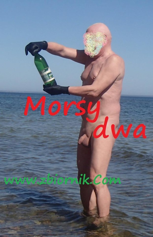 Przypłynęła? - Morsy_dwa