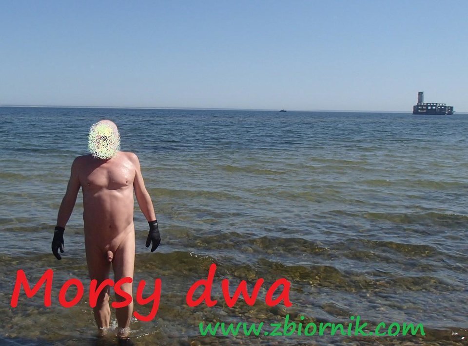 Z torpedownią w tle. - Morsy_dwa