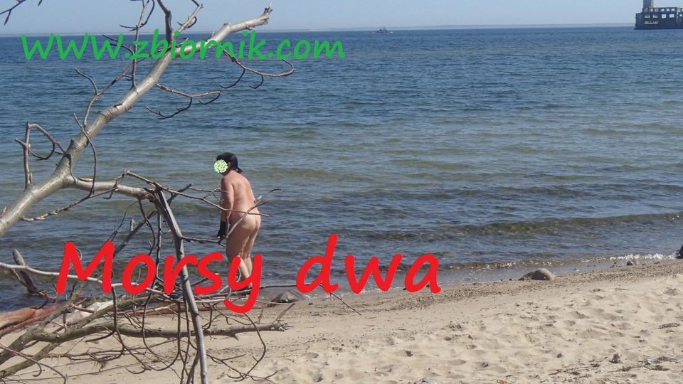 Na brzegu, za drzewkiem. - Morsy_dwa