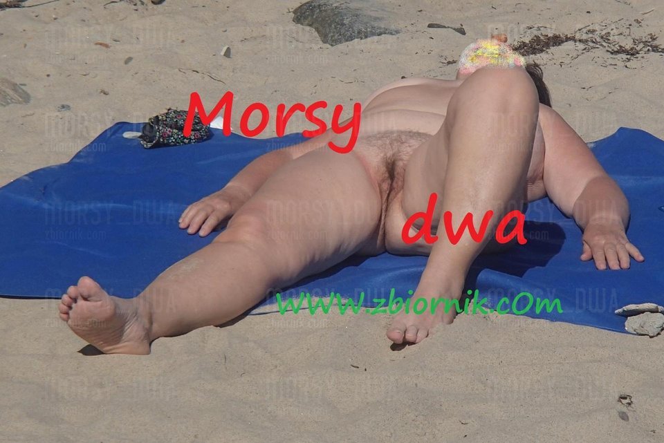 W słońcu. - Morsy_dwa