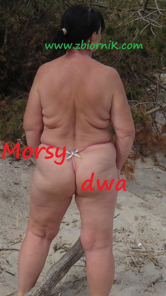 W słońcu. - Morsy_dwa