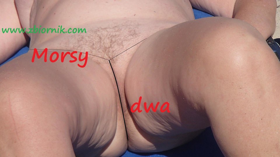 W słońcu w stringach! - Morsy_dwa