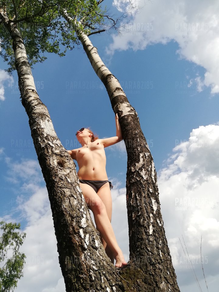 brzoza :p - para82i85