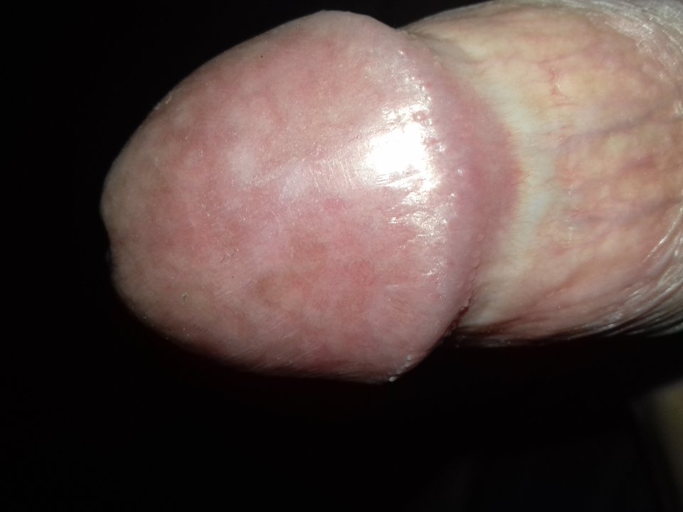 1525991243200-225915239.jpg - Pawcio3