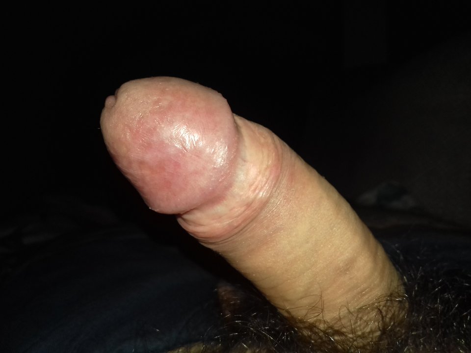 1525991360921-1284744663.jpg - Pawcio3