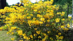 20180512_153633.jpg