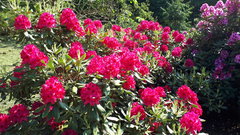20180512_160507.jpg