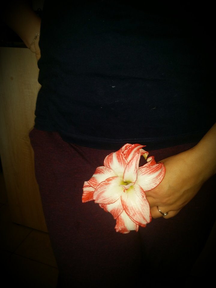 20180513_054117.jpg - Ninjabi